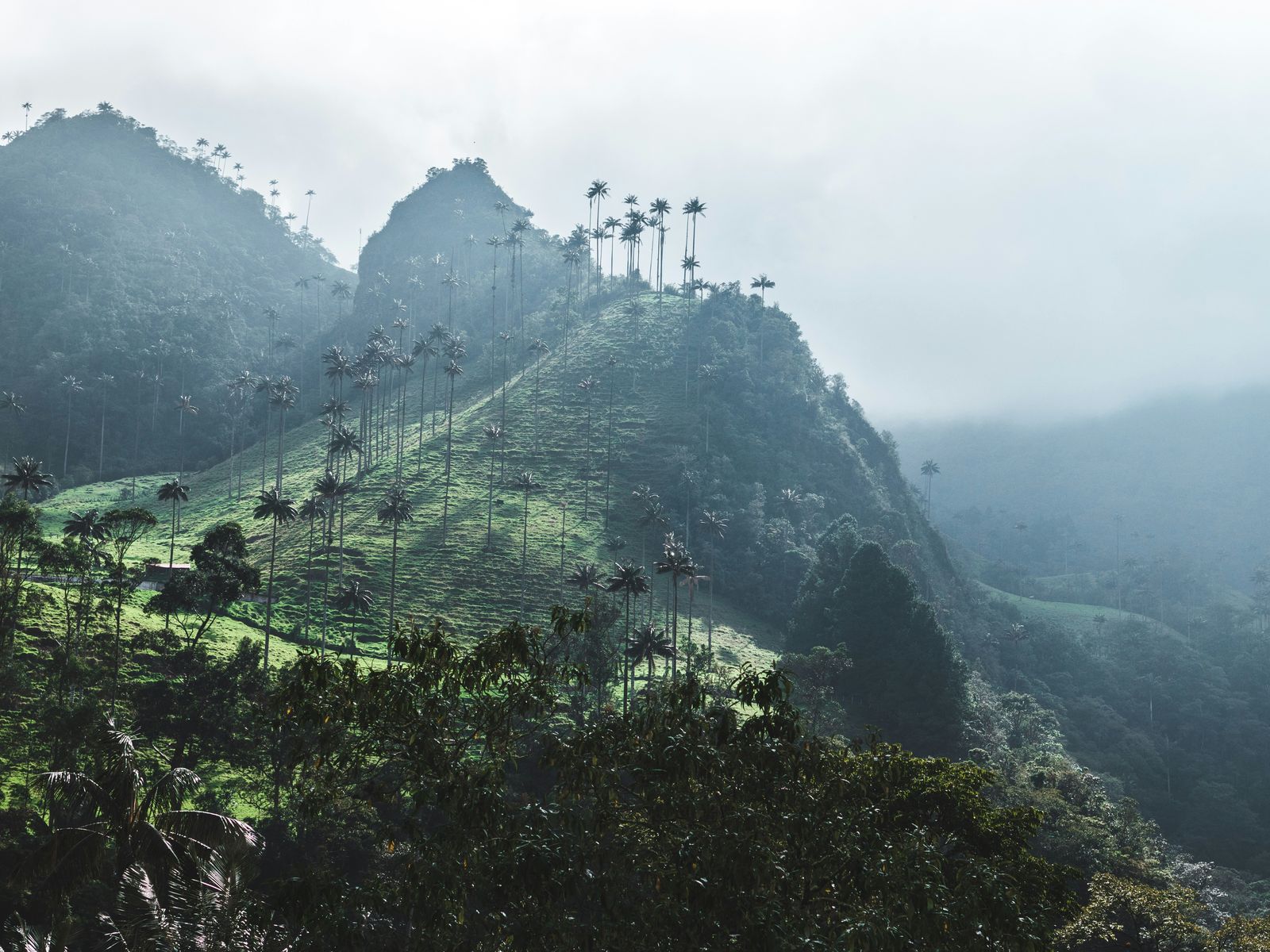 Montagnes de Colombie